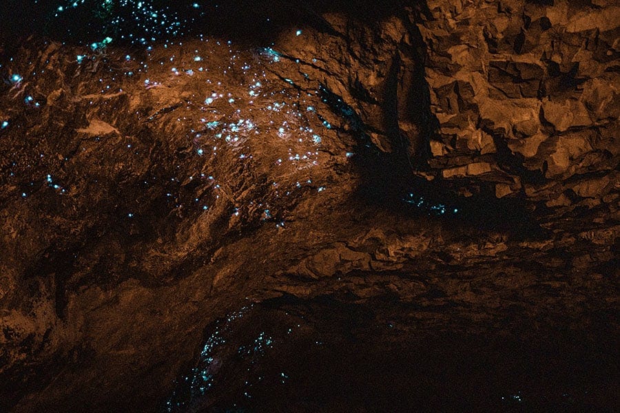 Caving & glow worms