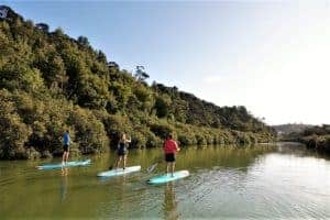 Best Auckland SuP Tour Stand up Paddle (SuP) Boarding