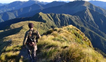 Hiking Tramping Walking Tours New Zealand