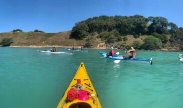 Half day sea kayak tour browns island