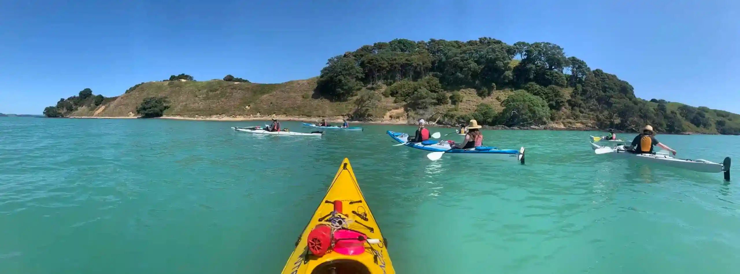 Half day sea kayak tour browns island