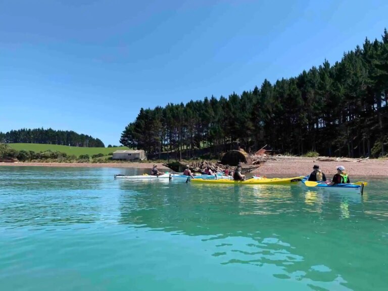 Te Ara Moana Kayak Trail