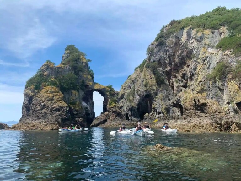 Te Ara Moana Kayak Trail