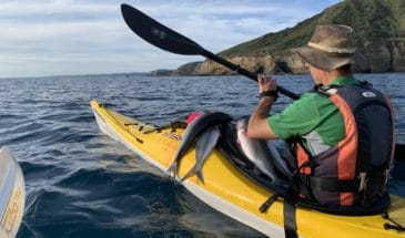 Great Barrier Island Circumnavigation Kayak