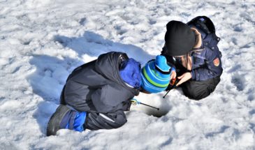 Term Two Winter Holidays