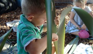 One Day Nature School