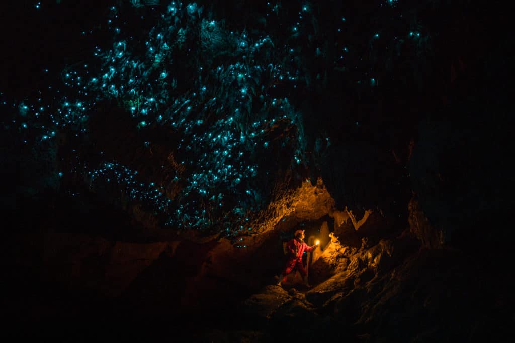 Waitomo Cave tours