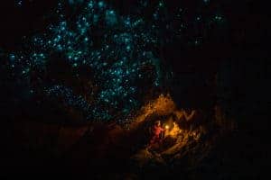 Waitomo Cave tours