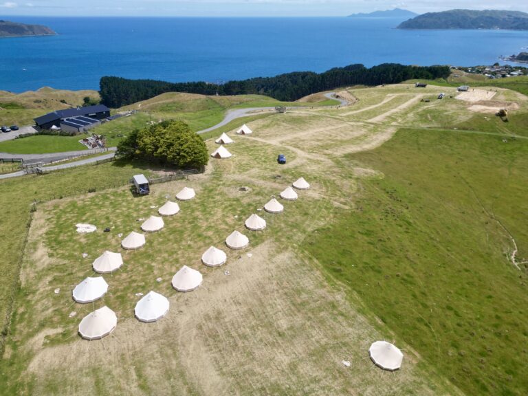 Auckland Glamping Rental Tents