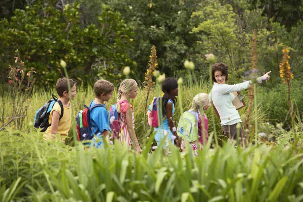 One Day Nature School