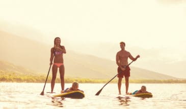 Auckland activities to do before work