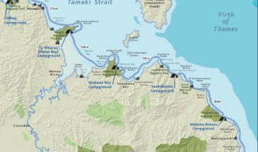 Auckland Sea Kayaking Tours