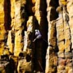 trad climbing course nz