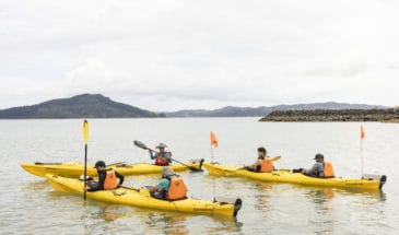 Beginner introduction kayak course Auckland