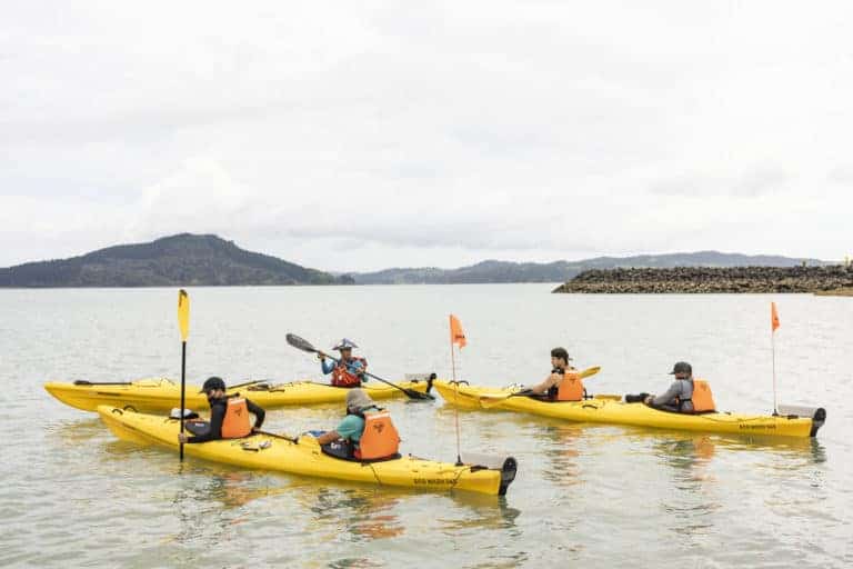 Beginner introduction kayak course Auckland