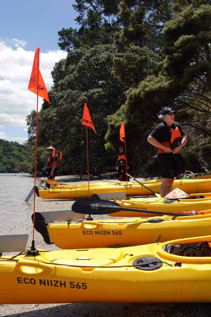 Rent sea kayaks in Auckland