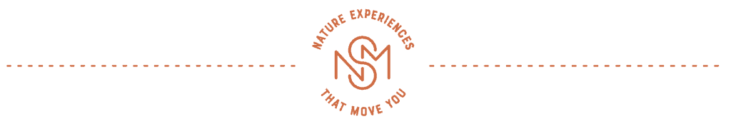 SNM Icons Assets P Behind SNM Divider