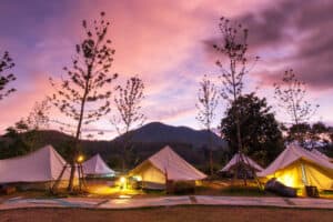 Luxury Camping rental Auckland