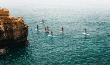 SUP Auckland paddle board tours