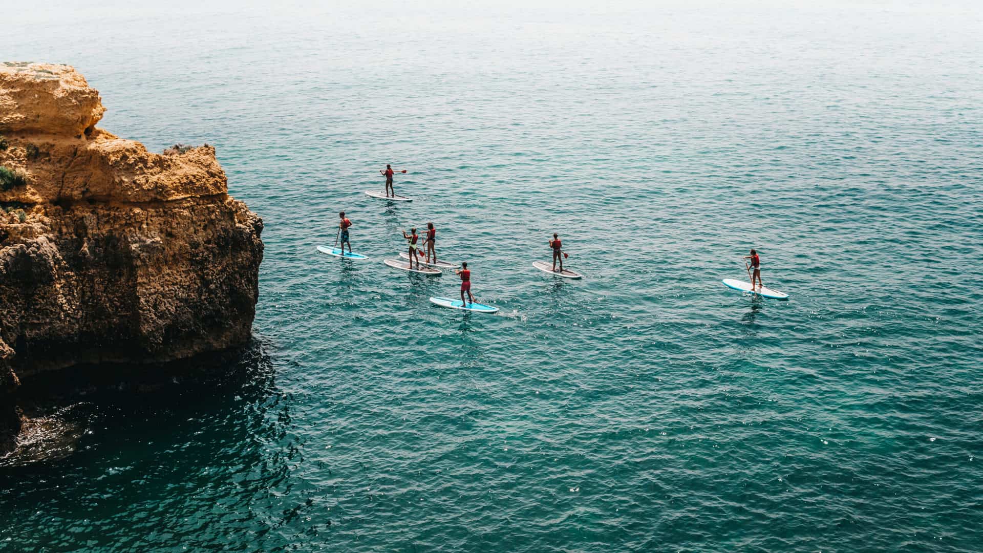 SUP Auckland paddle board tours