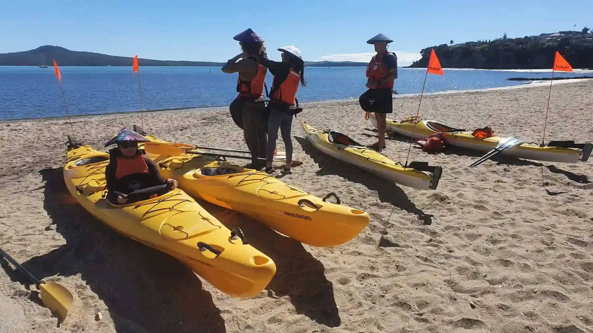 Half day sea kayak tour browns island