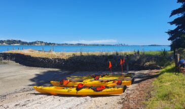 Half day sea kayak tour browns island