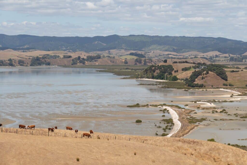 Duder Regional Park Walks