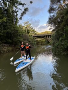 Albany Paddle Board Tours