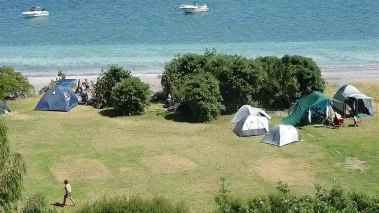 Motuora Island Camping