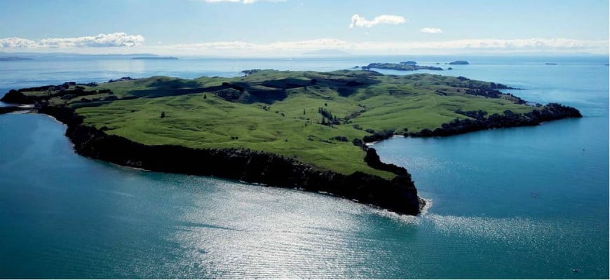 Motutapu Island Sea Kayak Tour