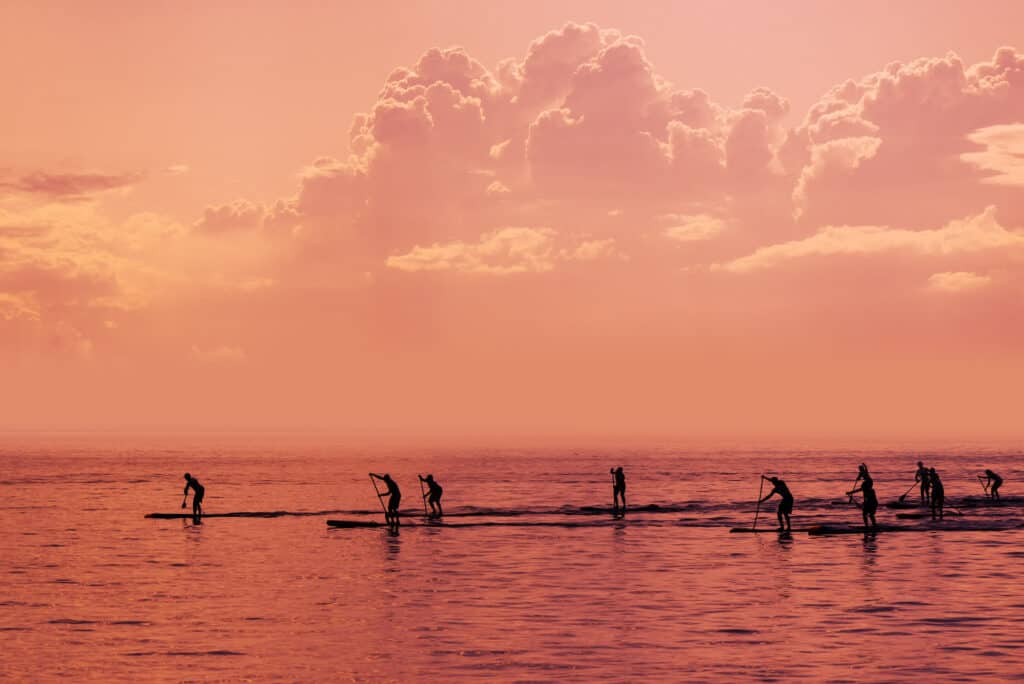 Stand,Up,Paddle,Boarding,Competition,On,Open,Sea,,Silhouettes,Of
