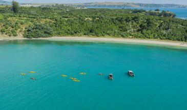 Motuihe Island Sea Kayak Tour