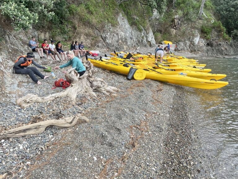 Sea Kayaking Auckland