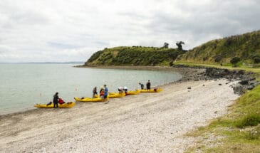 Hallertau Clevedon Kayak Tour
