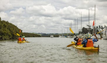 Hallertau Clevedon Kayak Tour