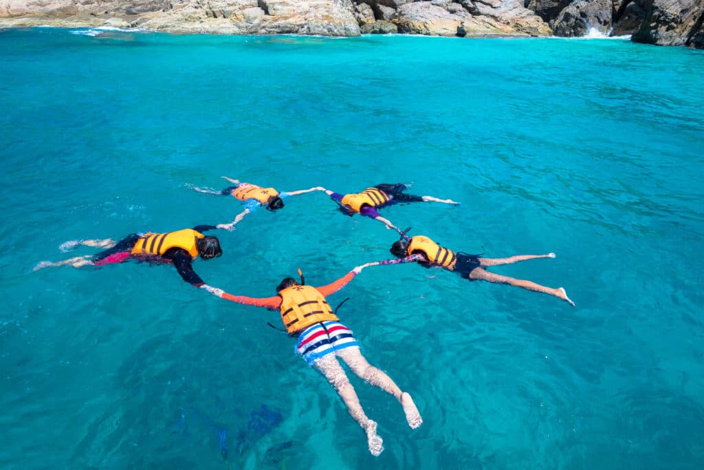 guided snorkeling tours auckland