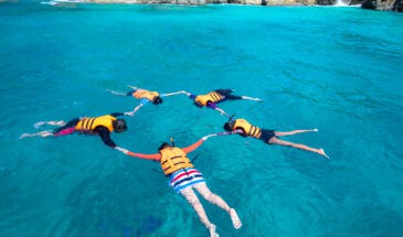 guided snorkeling tours auckland