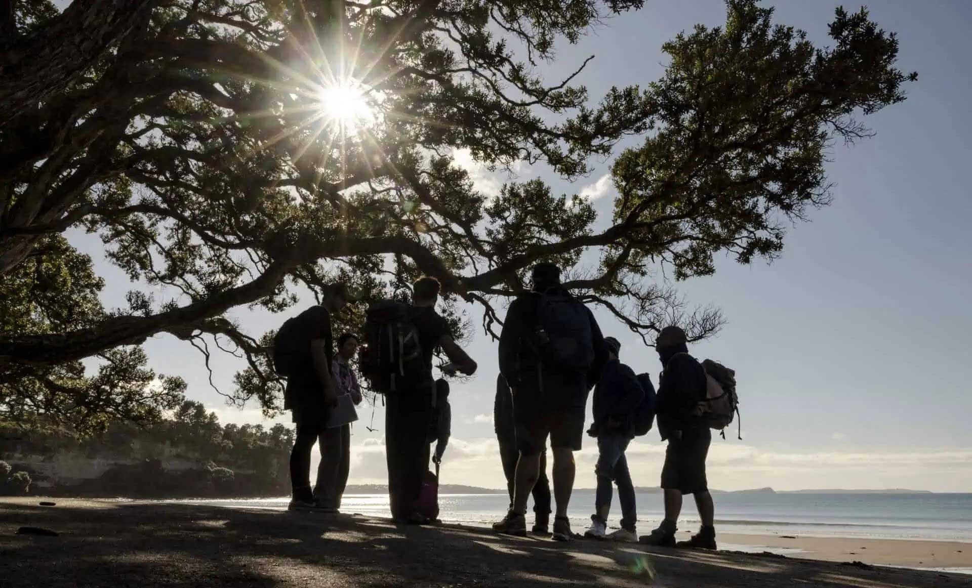 Activities and Adventures - Social Nature Movement