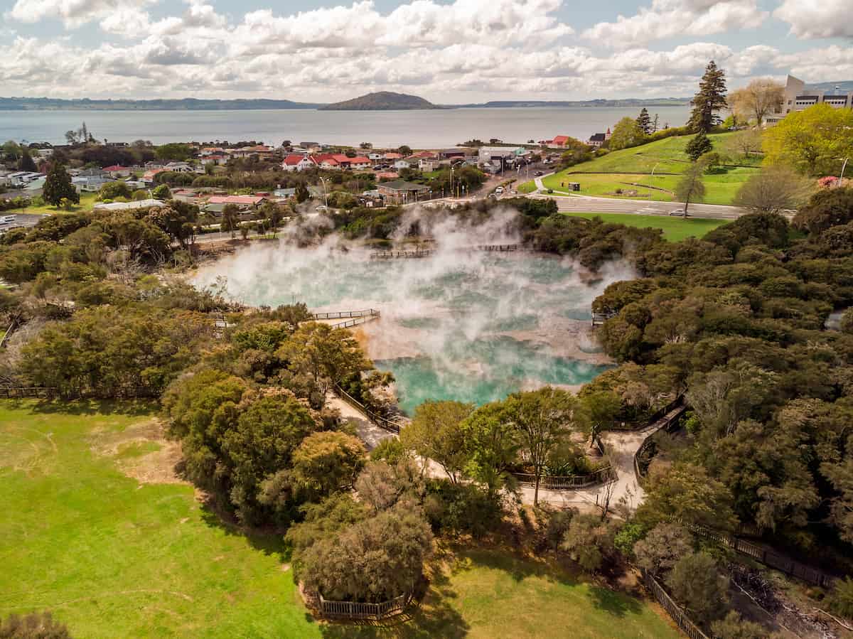 auckland to rotorua private tour