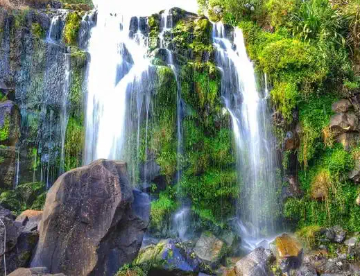 Auckland Waterfall Tour