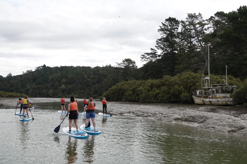 Lucas Creek Auckland