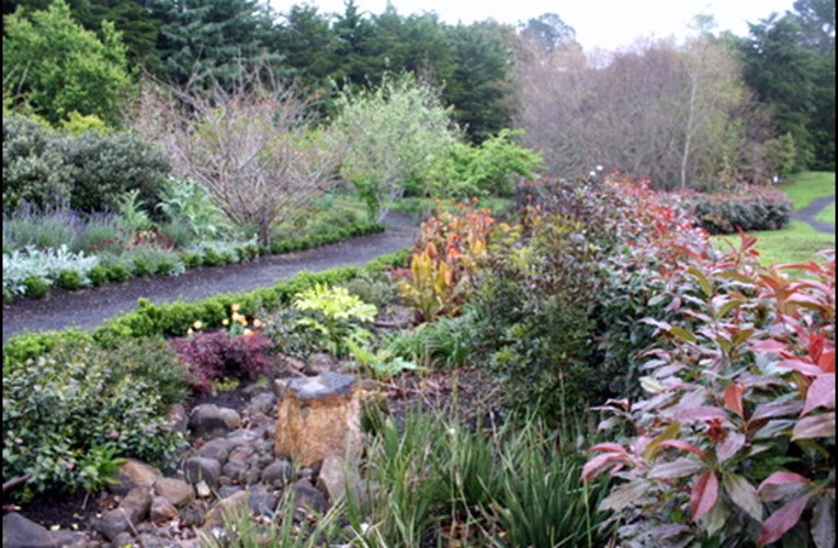 Kaipara Coast Plant Centre & Sculpture Gardens