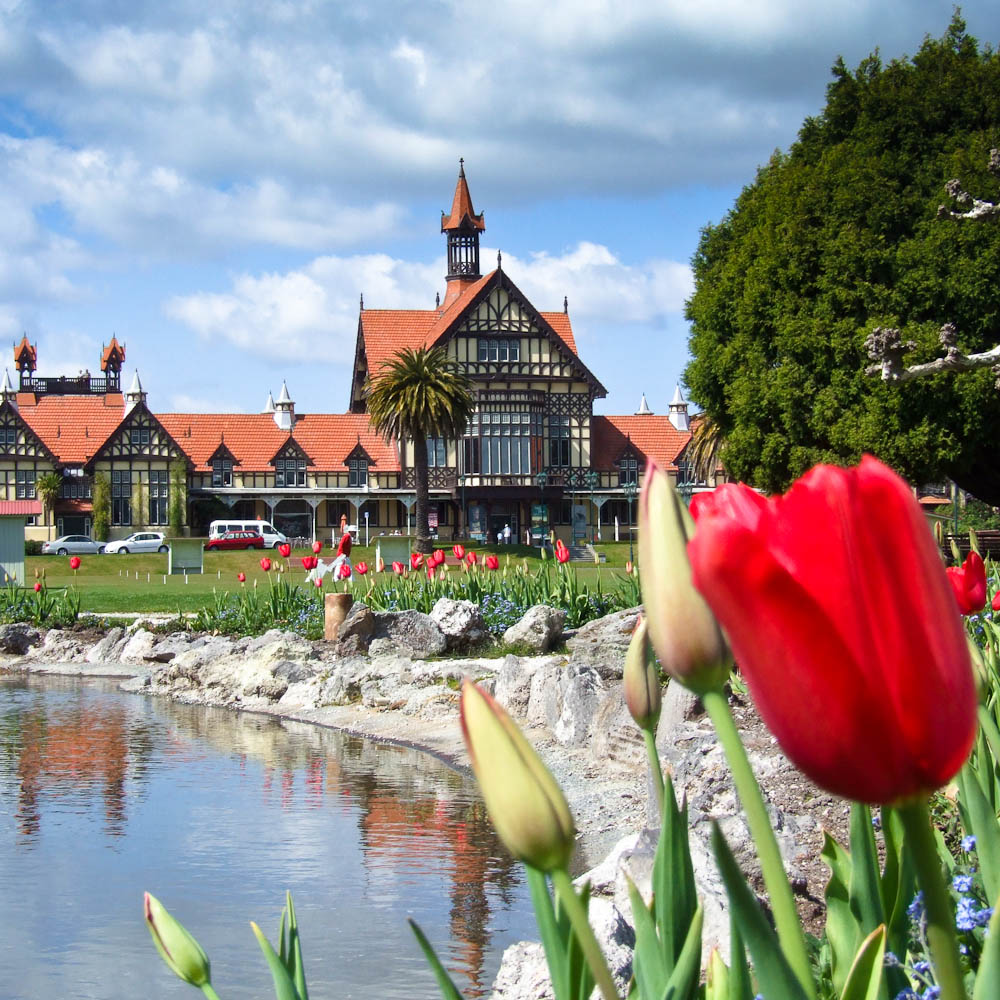 Auckland – Rotorua Geothermal Wonderlands