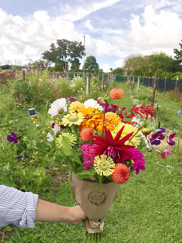 Slow Blooms, Matakana