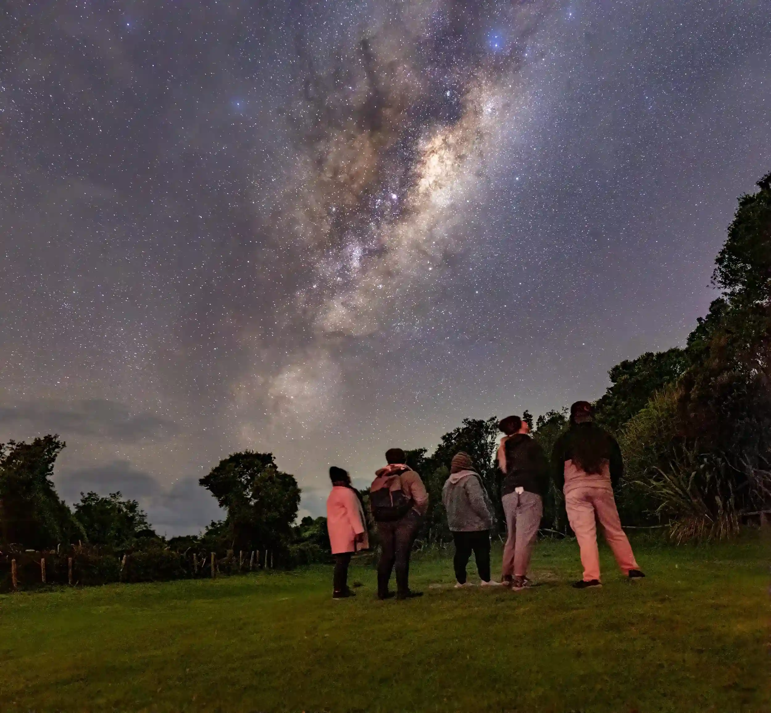 Wild Kiwi Stargazing Glamping