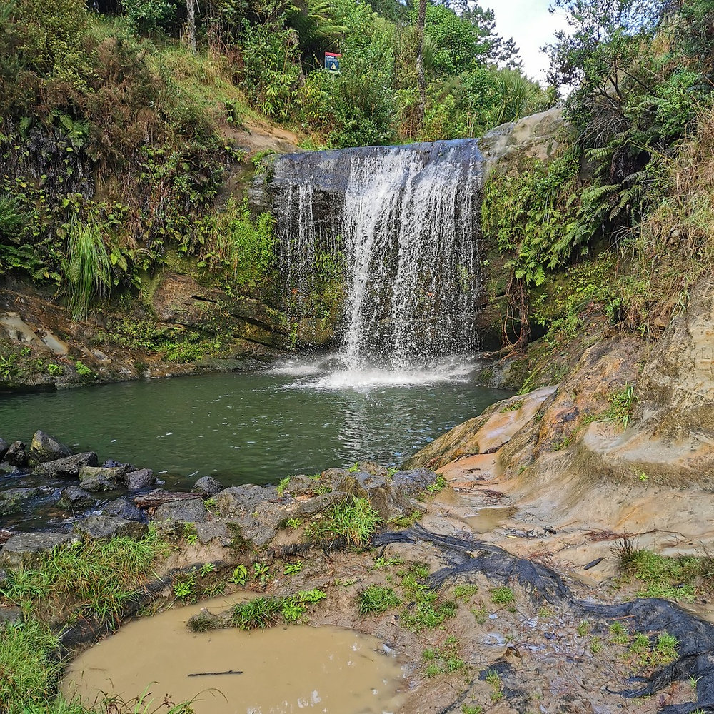 Auckland Waterfalls Tour - Social Nature Movement