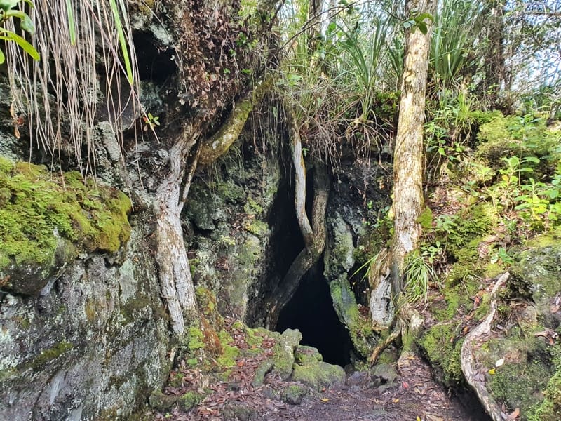 Auckland Natural Caves and Tunnels Tour