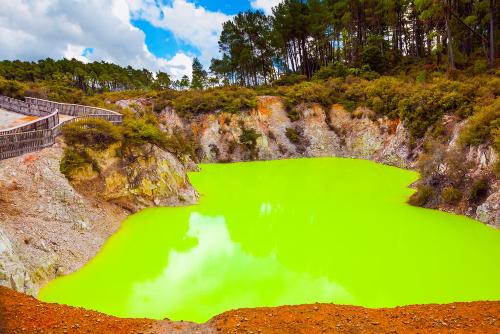 Auckland – Rotorua Geothermal Wonderlands