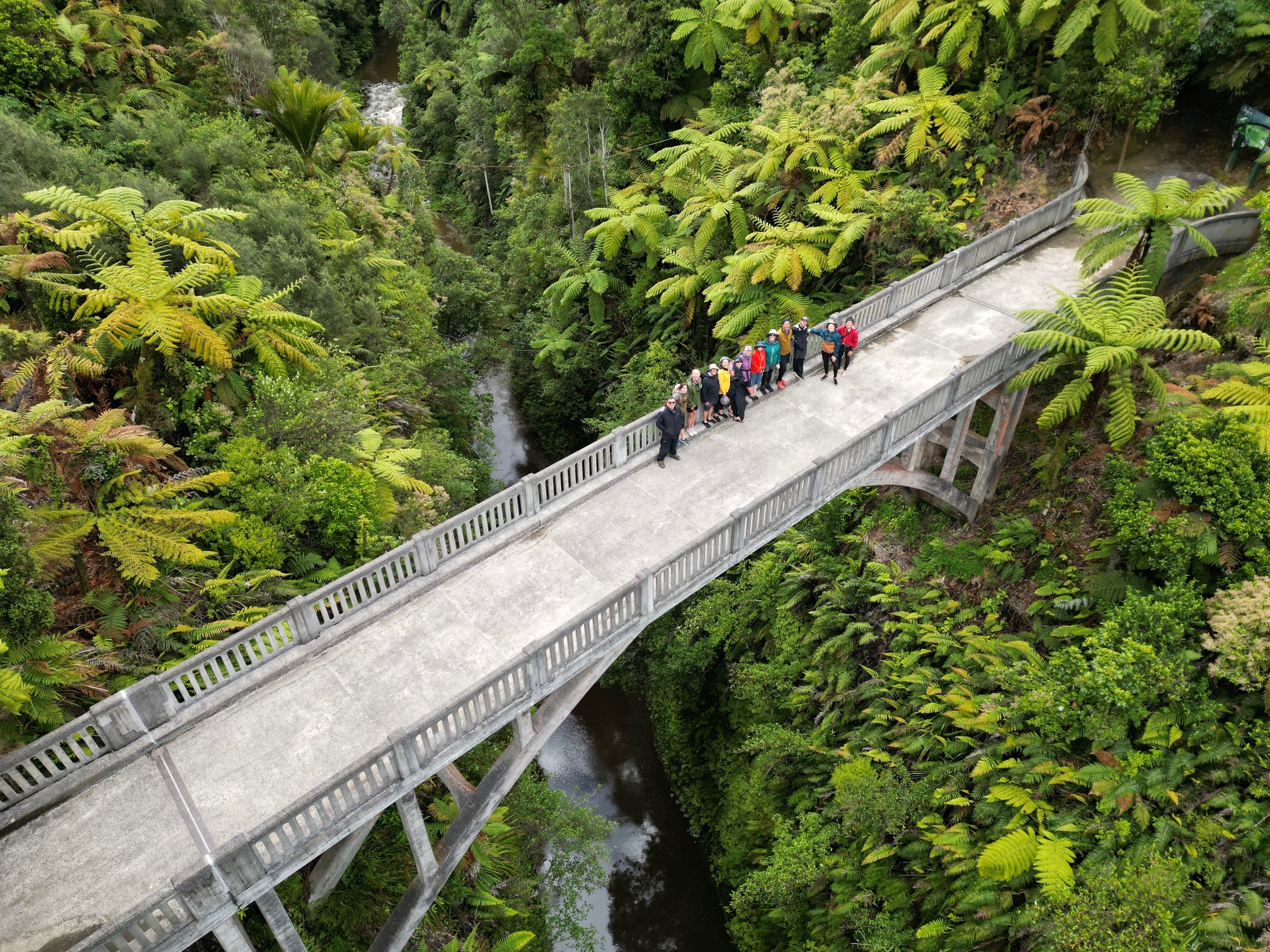 Whanganui river kayak tour