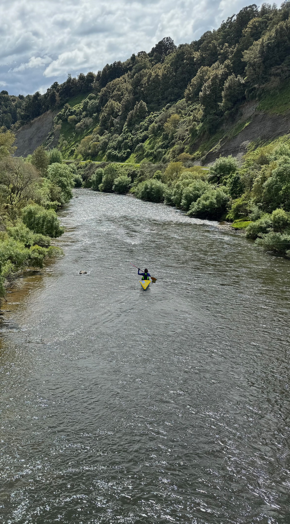 Whanagnui River Kayak Tour